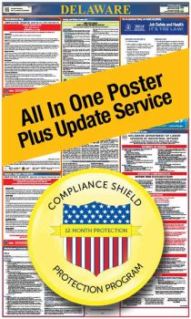Delaware All In One Poster + 1 Year Replacement Poster
