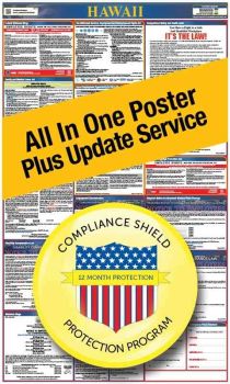 Hawaii All In One Poster + 2 Year Replacement Poster